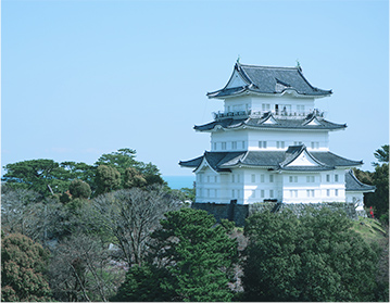 小田原城址公園