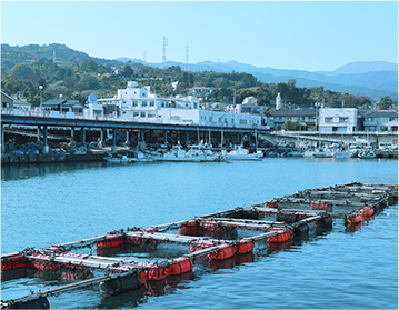 小田原漁港（早川漁港）