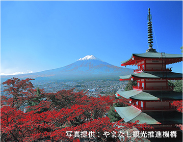 富士山ビュースポット