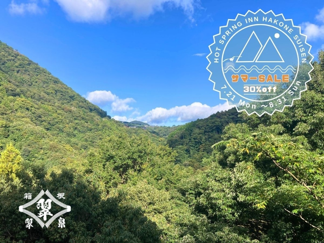 サマーSALEプラン-30%off-