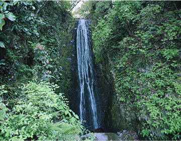 Frog Waterfall