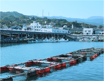 Odawara Fishing Port (Hayakawa Fishing Port)