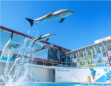 Izu-Mitsu Sea Paradise