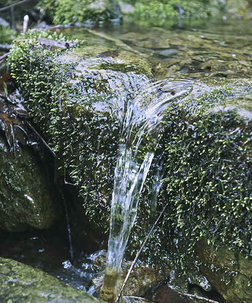 Delicious water and fresh air