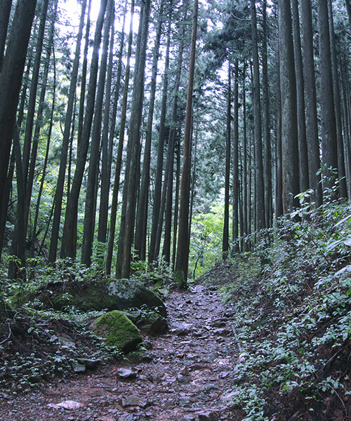 歴史を感じる旧跡の数々