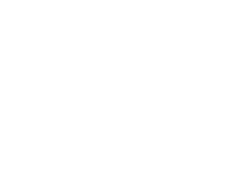 自家源泉かけ流しの宿　箱根翠泉