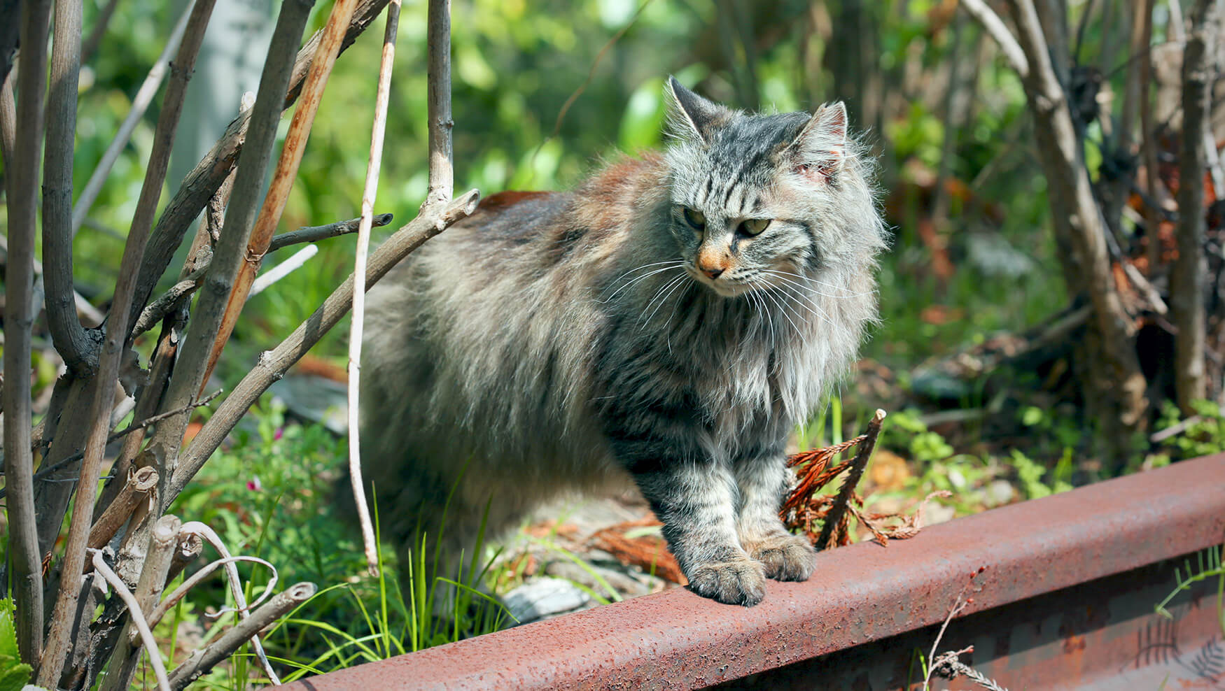 イメージ:自家源泉かけ流しの宿 箱根翠泉